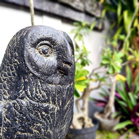 Bed and Breakfast Panda Lumbung Санур Экстерьер фото