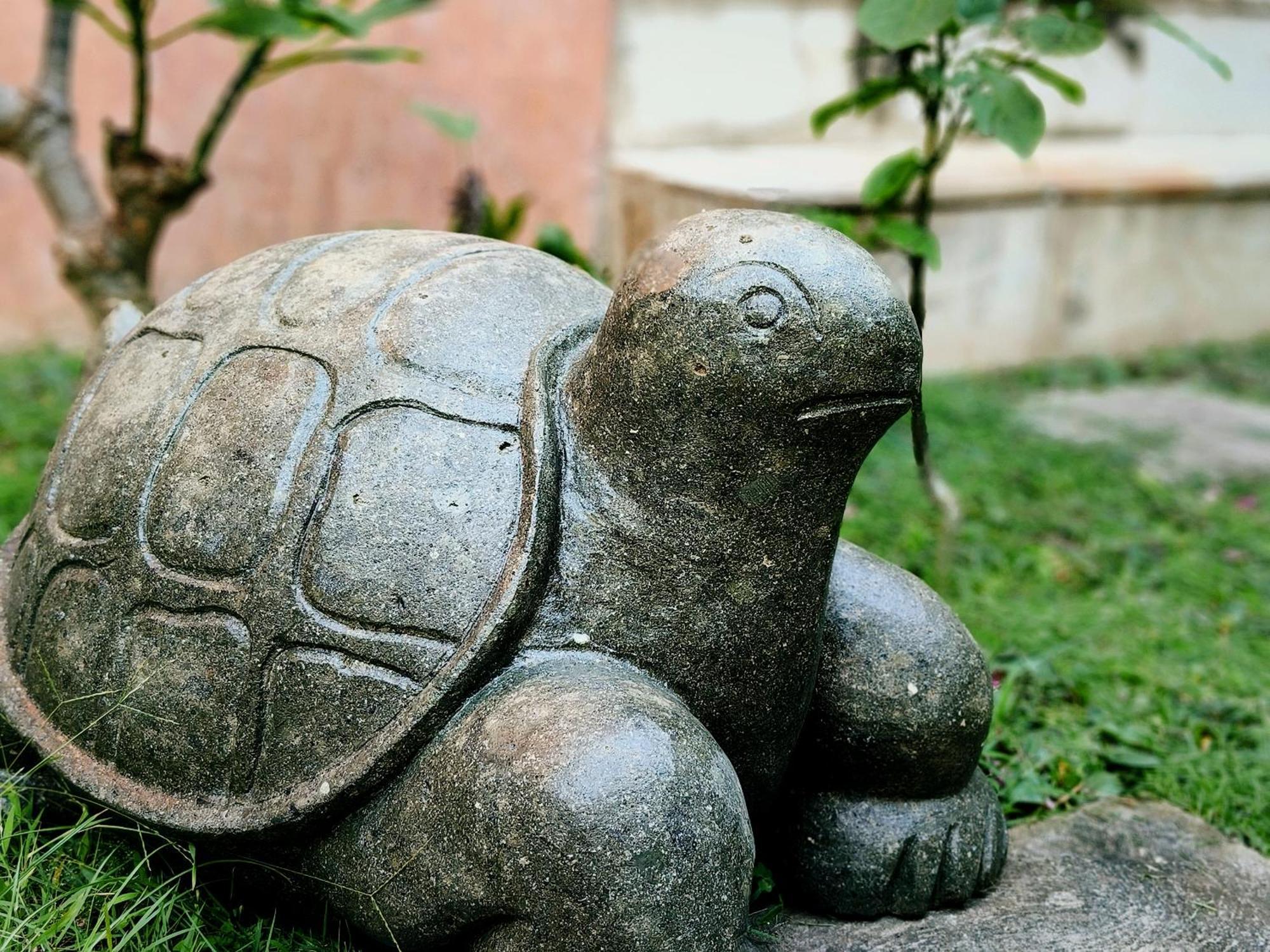 Bed and Breakfast Panda Lumbung Санур Экстерьер фото